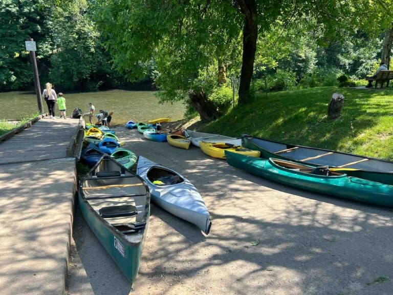 Boats lined up at Cook Park - small